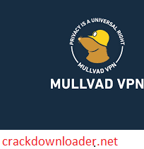 Mullvad VPN 2022.4 Crack